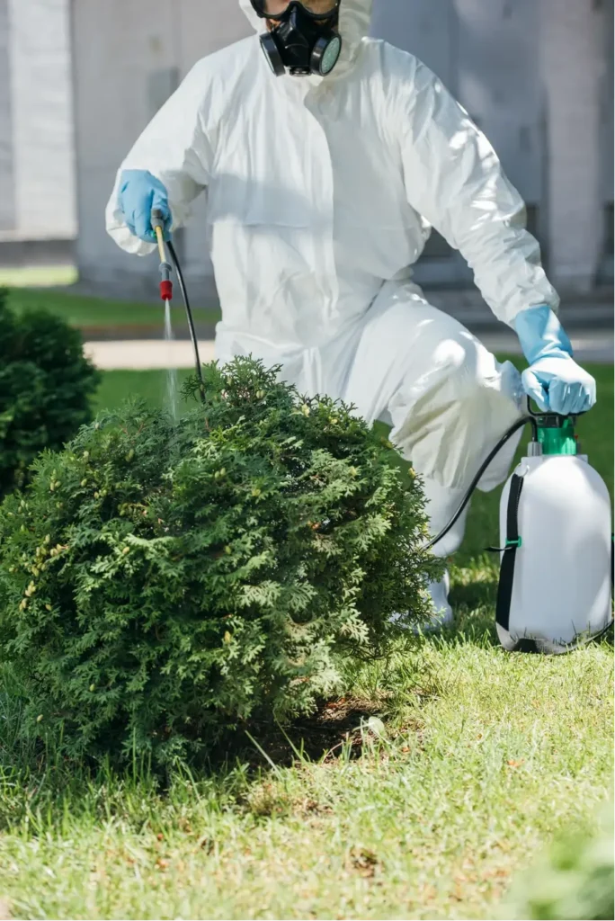 pest exterminators del rio