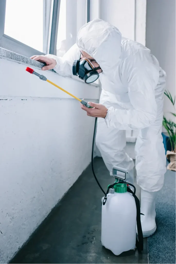 del rio pest exterminators